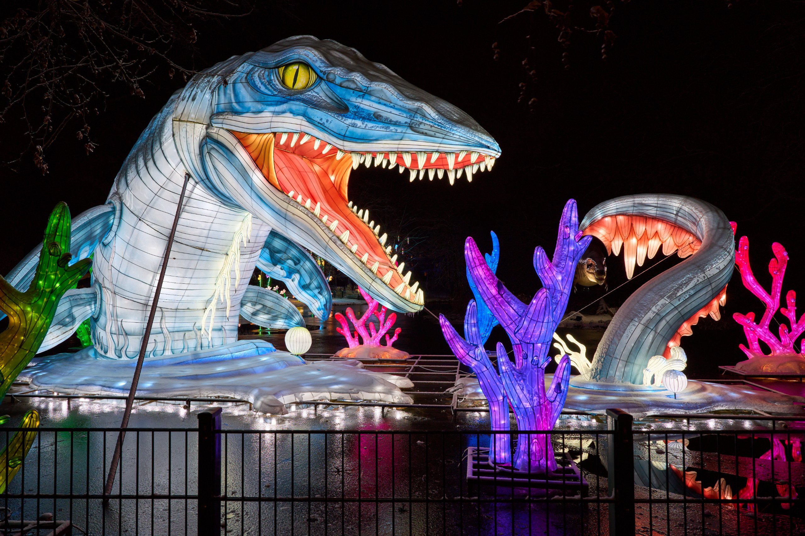 2026 01 05 China Lights 0145